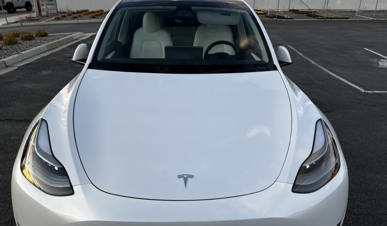 
TESLA Model Y 2023 Sport Utility Vehicle (SUV)/Multi-Purpose Vehicle (MPV) full									