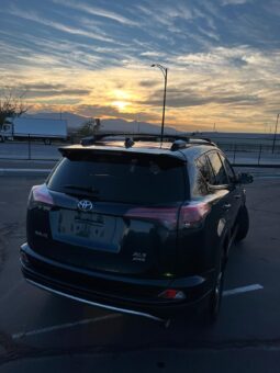 TOYOTA RAV4 XLE 2017 Sport Utility Vehicle (SUV)/Multi-Purpose Vehicle (MPV) full